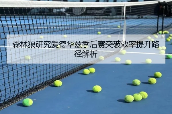 森林狼研究爱德华兹季后赛突破效率提升路径解析
