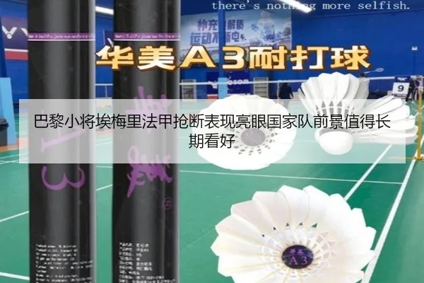 巴黎小将埃梅里法甲抢断表现亮眼国家队前景值得长期看好