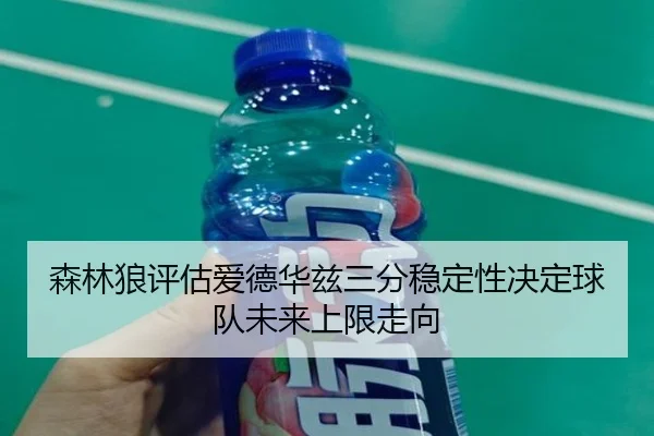 森林狼评估爱德华兹三分稳定性决定球队未来上限走向